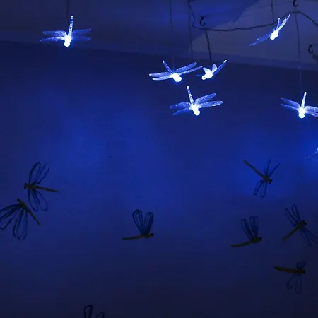 Hotel Sovrana & Rimini