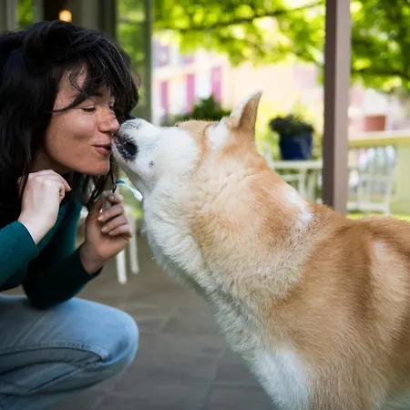Sovrana - Pet Friendly - Breakfast Until 12 - Parking 里米尼