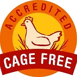 Sovrana & Rimini