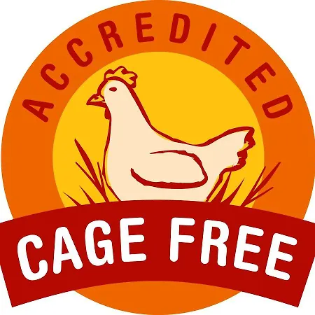 Sovrana & Римини